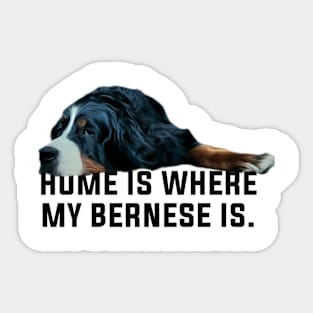 bernese mountain dog Sticker